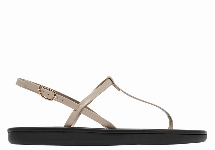 Sandales Bride Arrière Ancient Greek Sandals Lito Flip Flop   | WWS-8247319